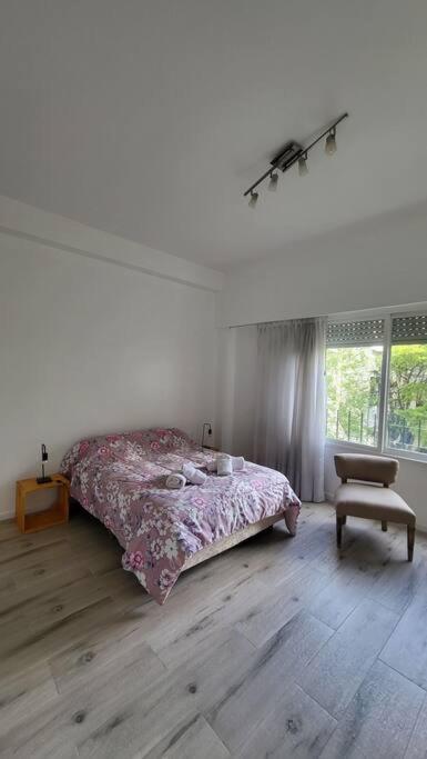 Departamento En Glamourosa Calle, 1 Dormitorio Apartment Buenos Aires